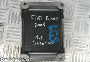 imagem_1