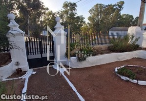 imagem_13