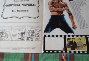 Caderneta cromos Bruce Lee
