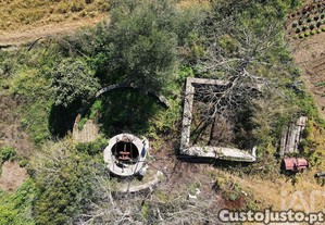 imagem_29
