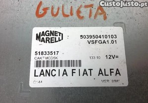 imagem_2