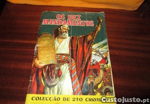 imagem_1