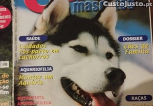 imagem_4