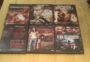 imagem_8