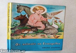 imagem_6