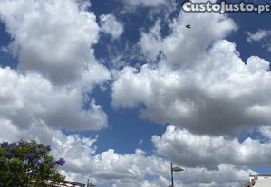 imagem_24