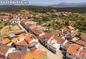 imagem_31