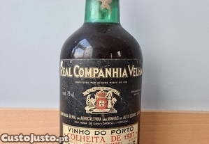 imagem_1