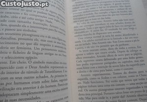 imagem_7