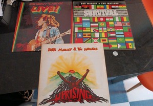 Vinil LP de BOB Marley ( os Originais)