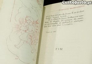 imagem_5