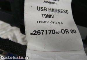 imagem_4