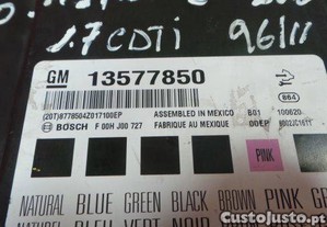 imagem_3