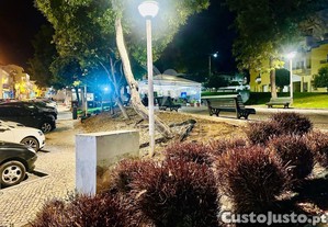 imagem_23