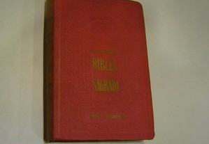 Bíblia Sagrada - Novo testamento - Matos Soares