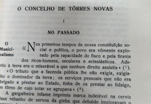 imagem_8