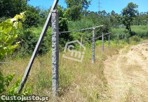 imagem_10