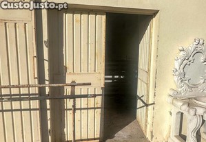 imagem_5