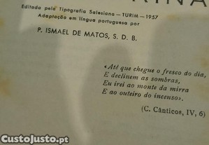 imagem_7