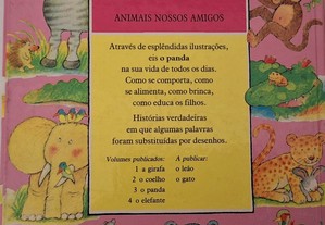 imagem_3