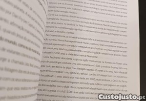 imagem_7