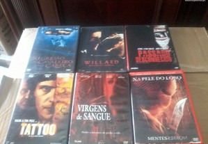 imagem_8