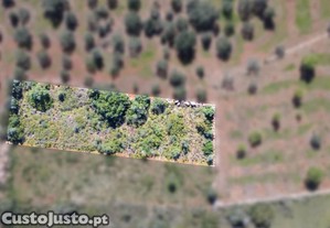Terreno Rústico Com 1390 M² Na Zona De Lagoão