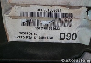 imagem_5