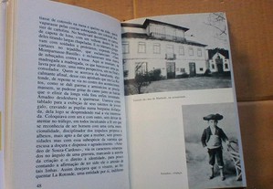 imagem_7