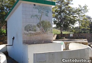 imagem_9
