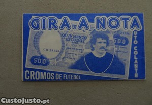 imagem_1