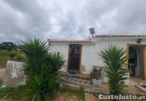 imagem_14