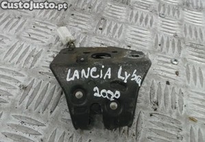 imagem_1