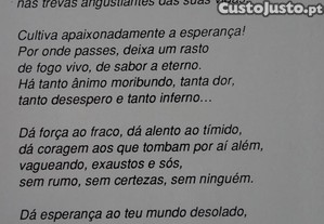 imagem_8