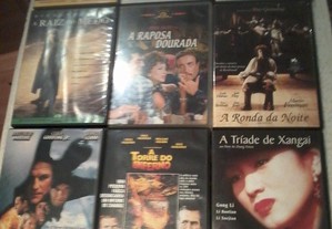 imagem_7