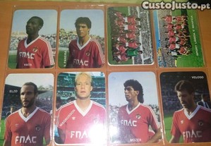 imagem_8