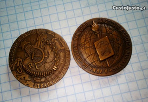 imagem_7