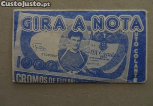 imagem_1