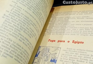 imagem_4