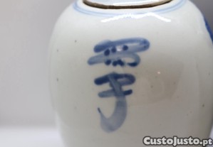 imagem_8