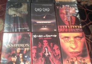 imagem_8