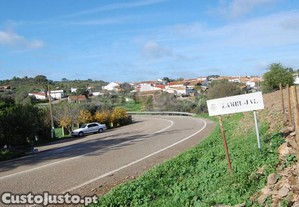imagem_10