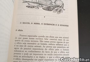 imagem_7