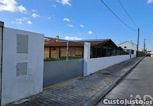 imagem_19