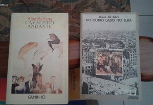 Obras de Almeida Faria e Josué da Silva