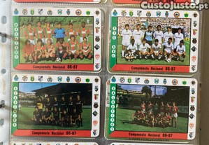 imagem_2