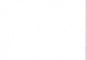 imagem_4