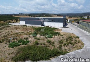 imagem_20