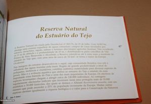 imagem_8