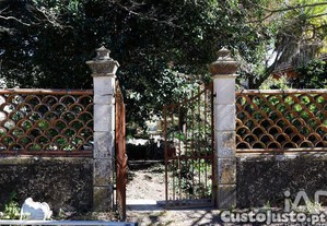 imagem_19